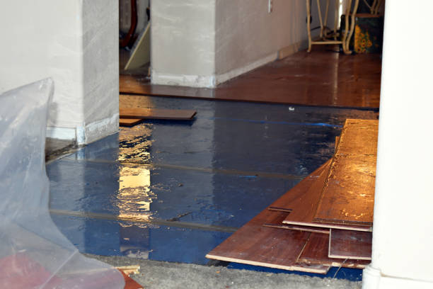 Professional Burst Pipe Cleanup technician working in El Granada, CA